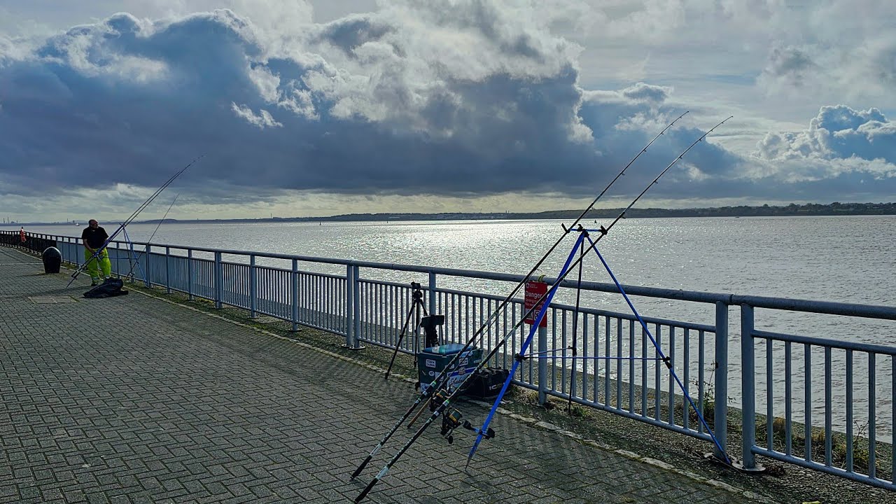 Fishing frenzy on the river Mersey