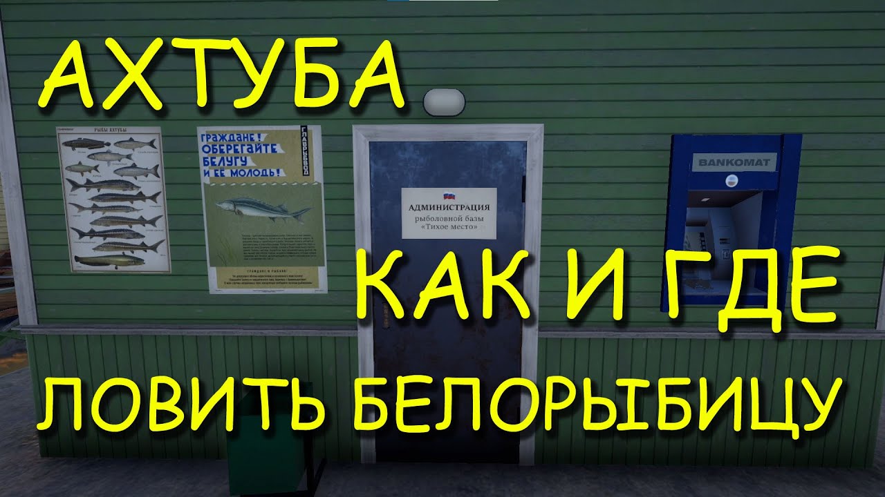 Русская рыбалка 4. рр4. Ахтуба. Где и как ловить белорыбицу на спиннинг.