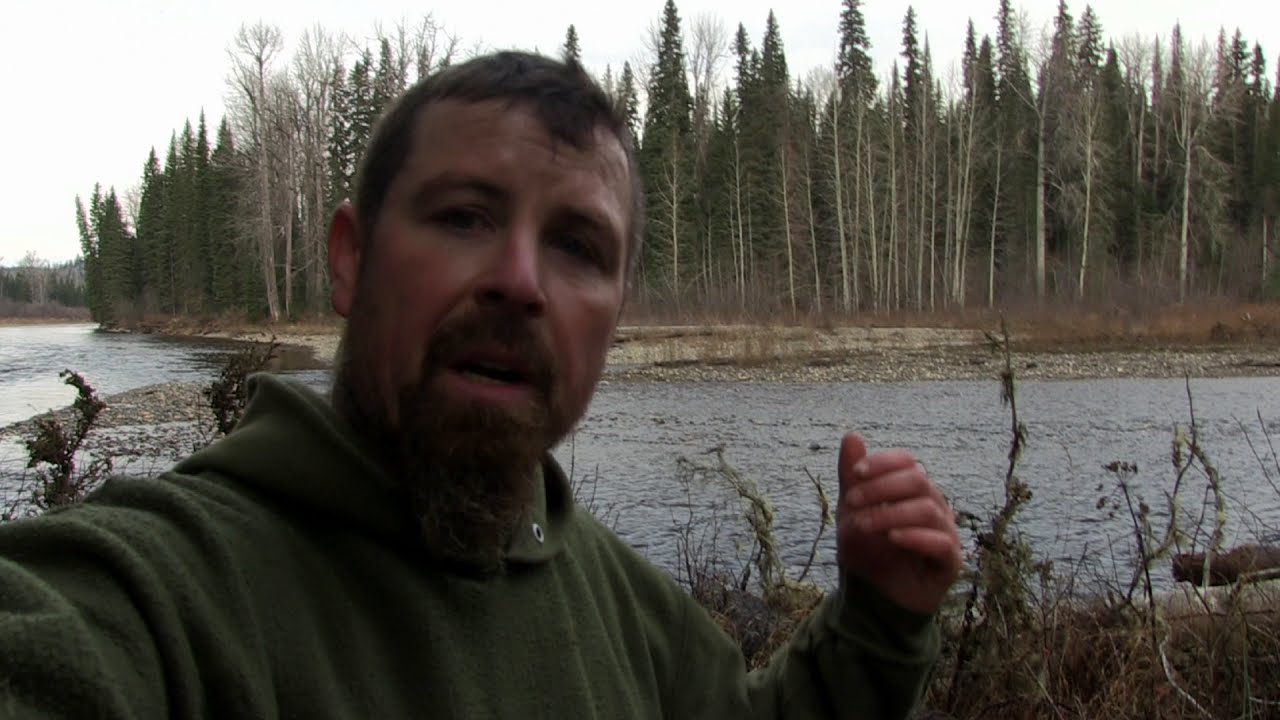 Prospecting In Devil's Canyon Is Hard. Even The Trees Won't Cooperate.