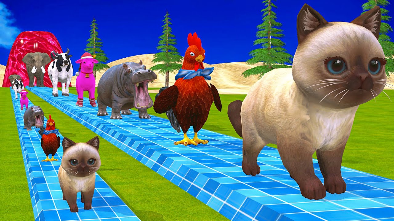 Long Slide Game With Elephant Gorilla Buffalo Hippopotamus Tiger 3d Animal Game Funny 3d Animals