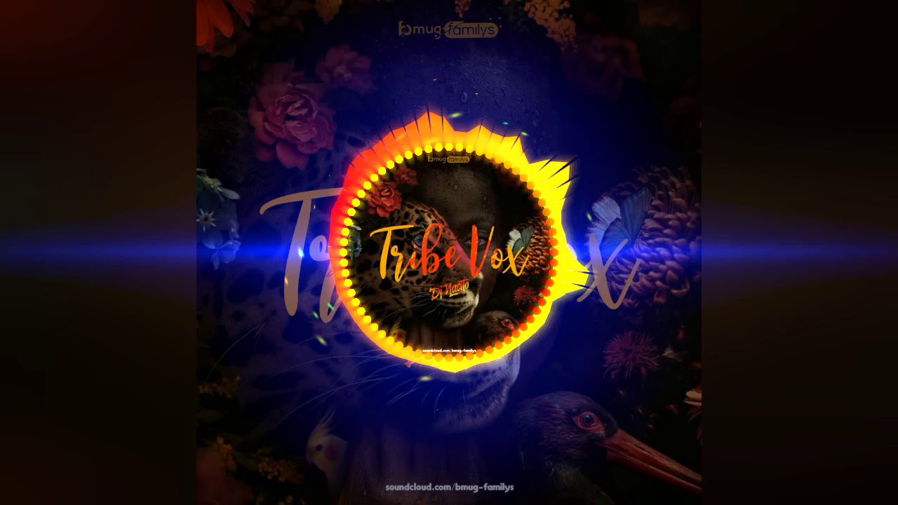 DJ Nacito - Tribe Vox