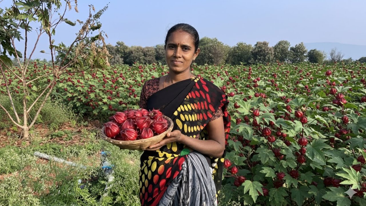 இயற்கை விவசாயம் காப்போம் 