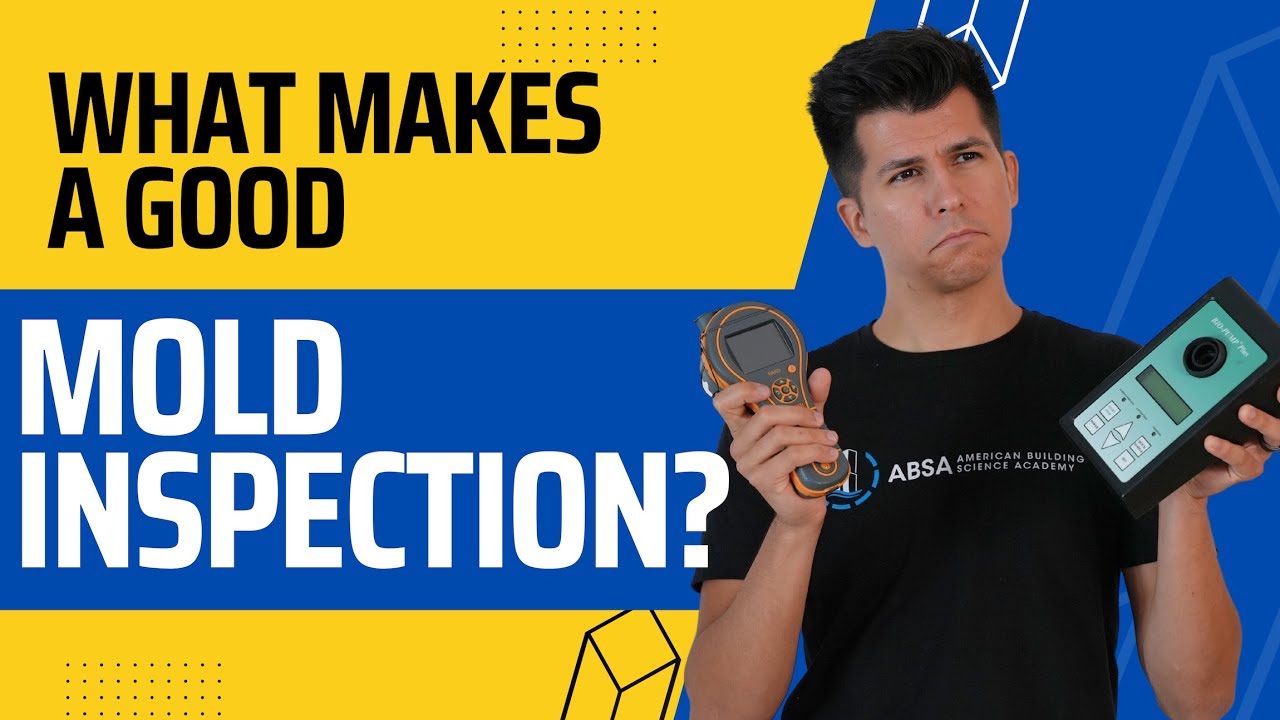Finding the Right Mold Inspector: What Every Homeowner Needs to Know