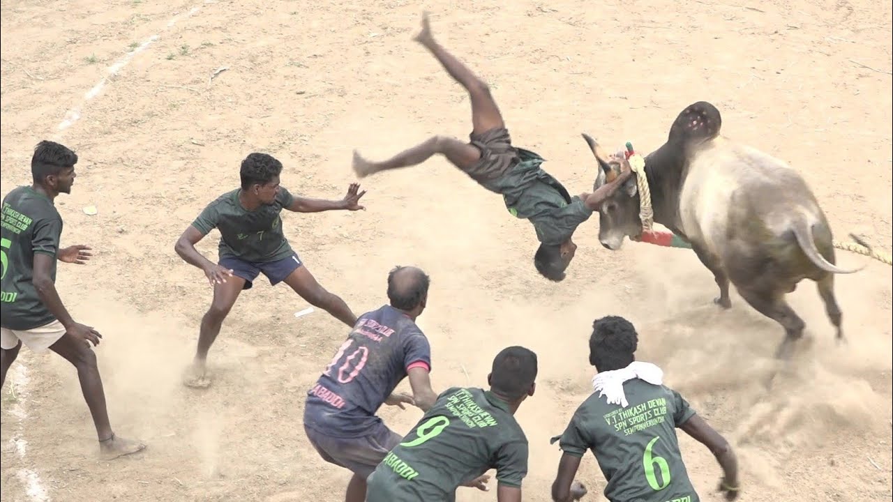 Periyailai Vadamadu Manjuvirattu 2022 Videos | பெரியஇலை வடமாடு மஞ்சுவிரட்டு 2022 Videos