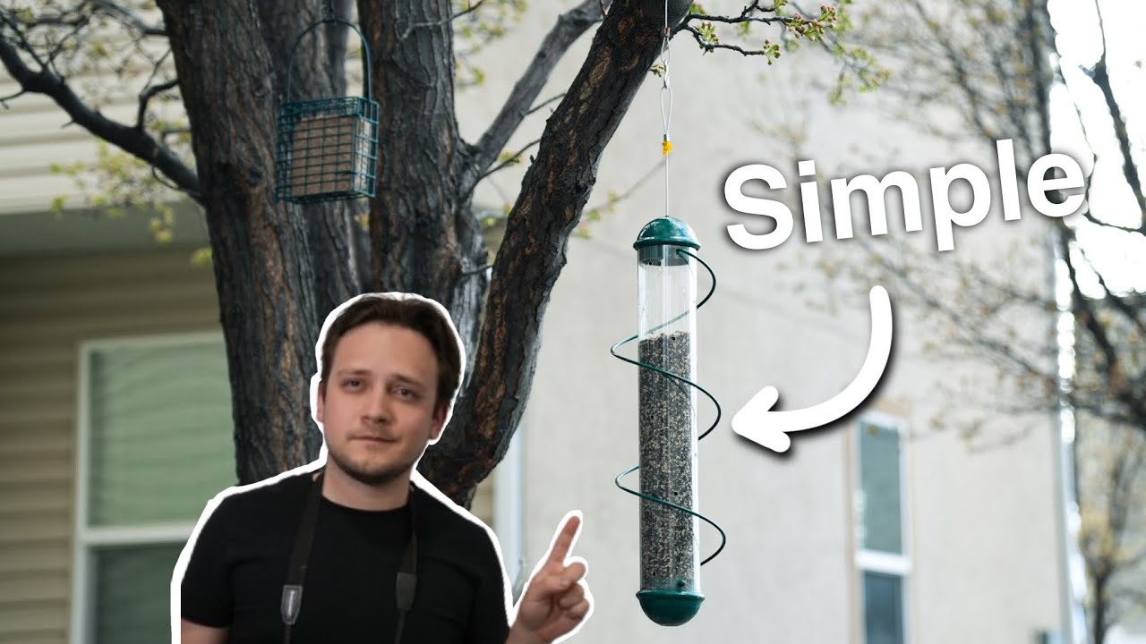 How To Install a Simple Bird Feeder Setup With NO Tools