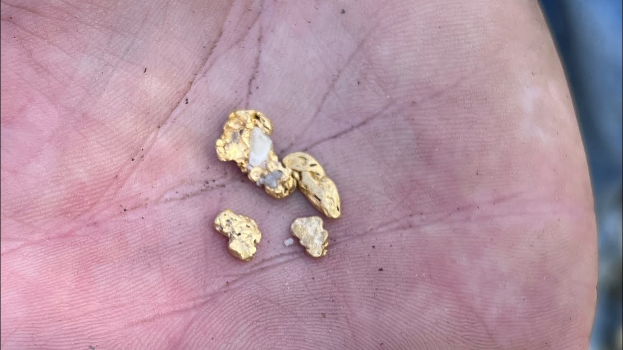 Metal Detecting for GOLD in Northern California!