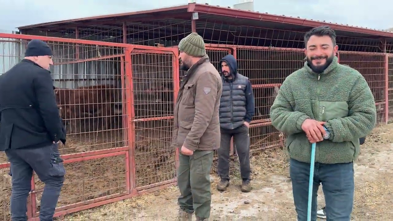 35 DANA KIRIKKALEYE HAYIRLI OLSUN