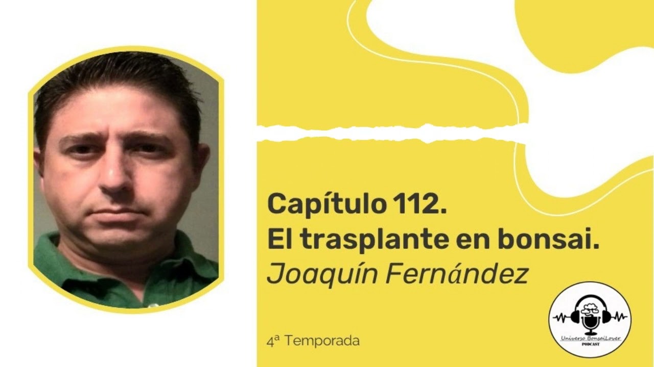 Capítulo 112.- El trasplante en bonsai. Joaquín Fernández (Quini)