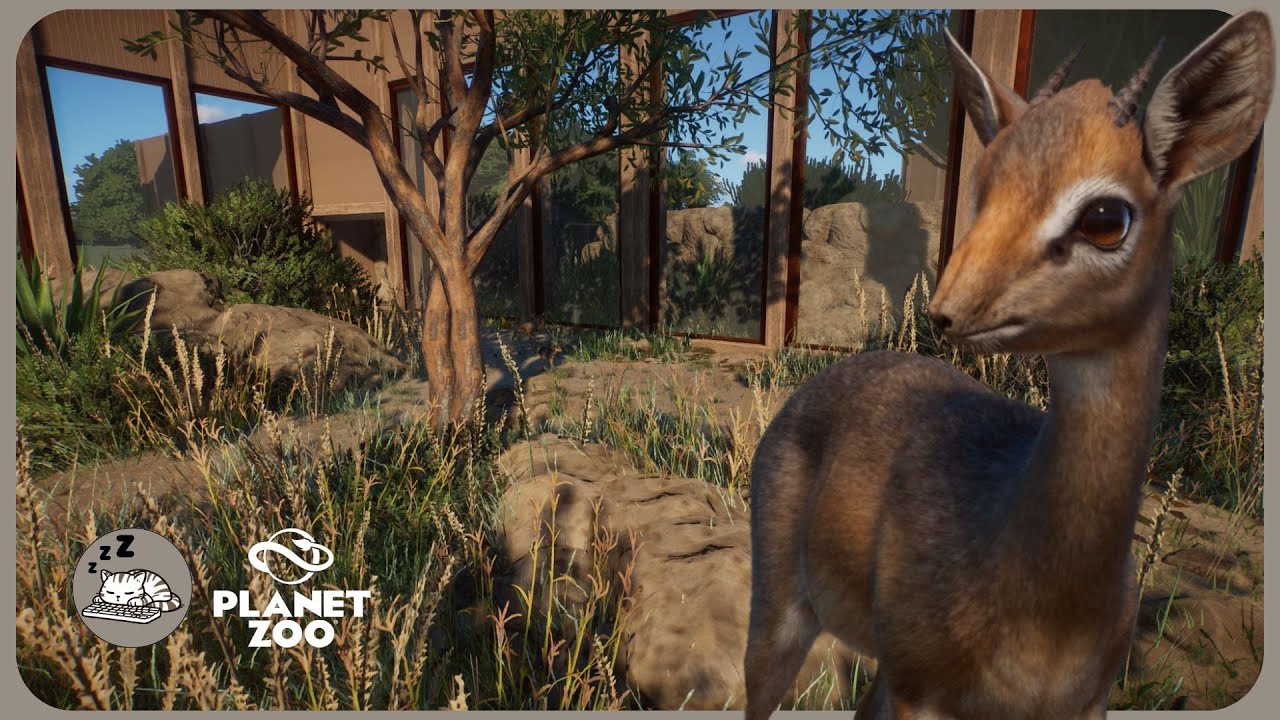 Building the Perfect KIRK`S DIK DIK Habitat | Planet Zoo Zookeepers Animal Pack Speedbuild