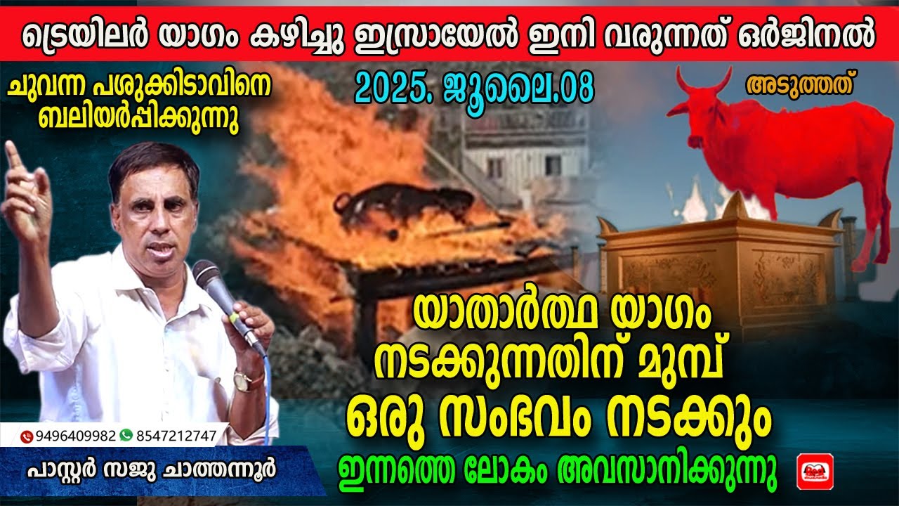 ജൂലൈ 08.2025. ലെ പരിശീലന യാഗം | ബൈബിൾ പ്രവചന പ്രഹാരം ഇത് സംഭവിക്കും | Red Heifer Sacrificed