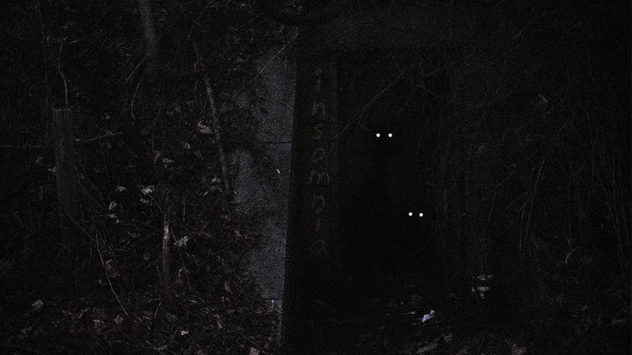 Insomnia Pt.2 (prod.johnnyfriend x reesoo)