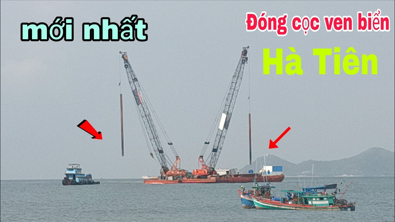 Trực tiếp nghề cắm cọc  đường ven biển Hà Tiên ..
