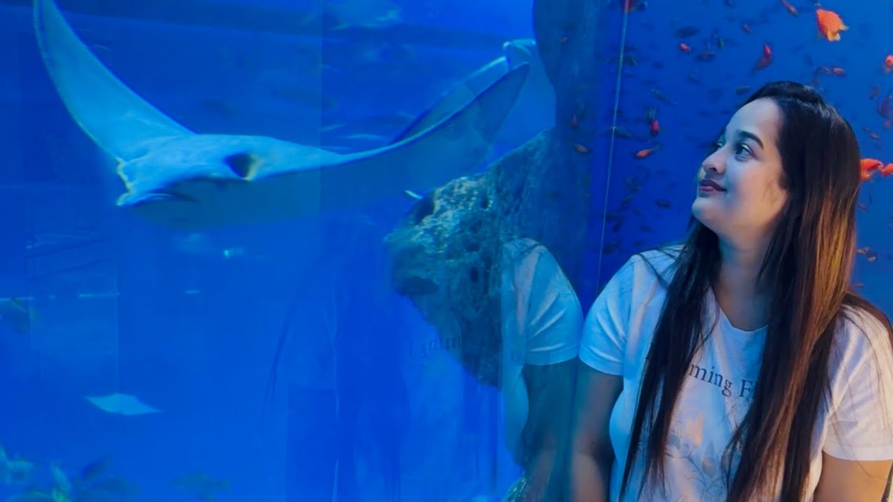 Dubai Mall Aquarium #dubaiaquarium #beautifulfish #stingray #viralvideo #trending