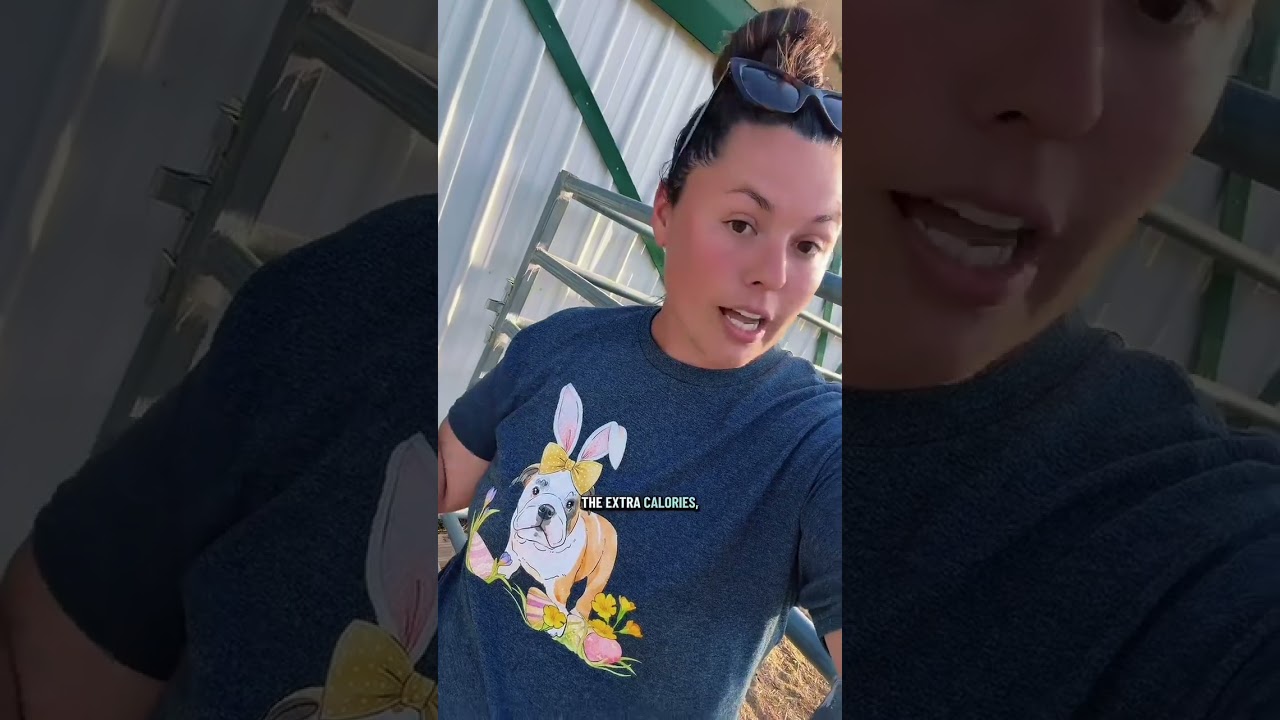 Woody&rsquo;s leggies are off! Part 1 #horse #horsegirl #horses #vet #foal #babyanimals #horsebackriding