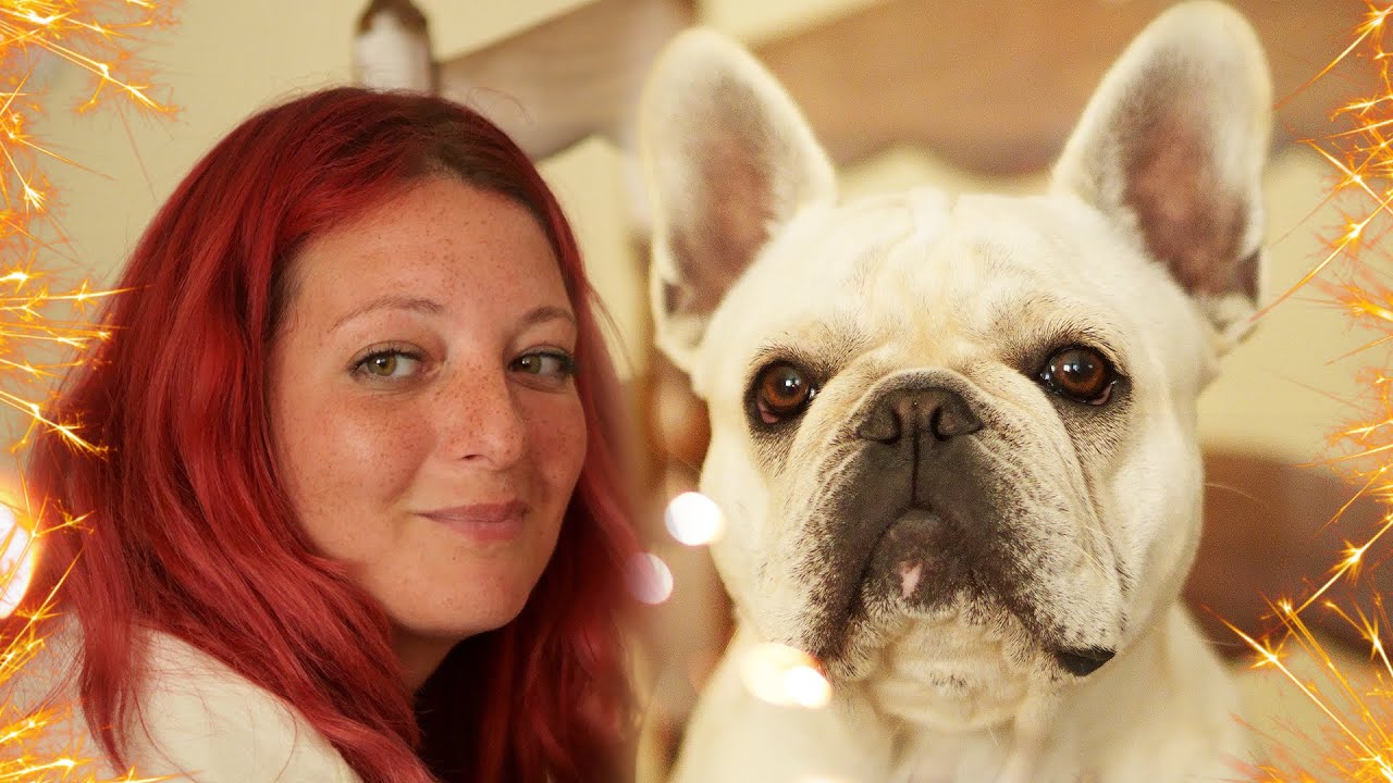 What French Bulldogs Cherish Most❤️ (This Melted My Heart)