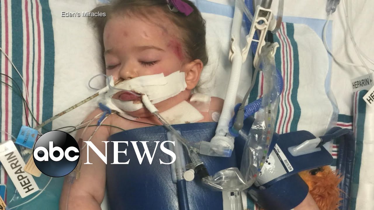 Scientists reverse brain damage in a toddler