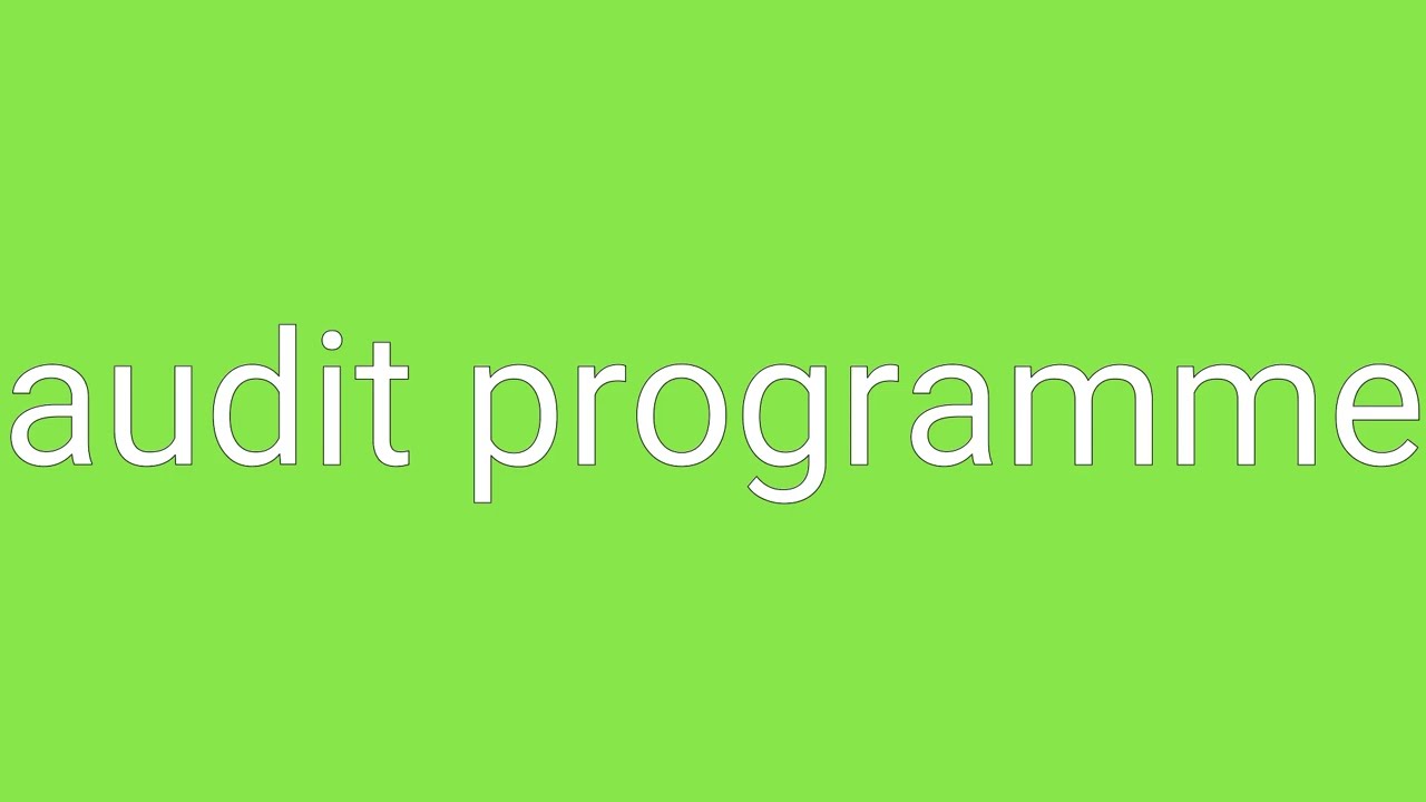 Audit Programme Definition & Meaning