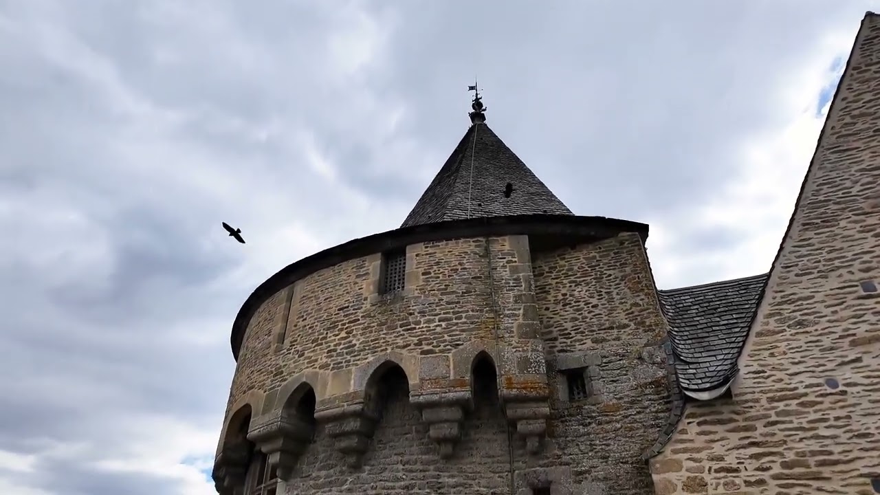 Château de Suscinio/ les remparts et les caves