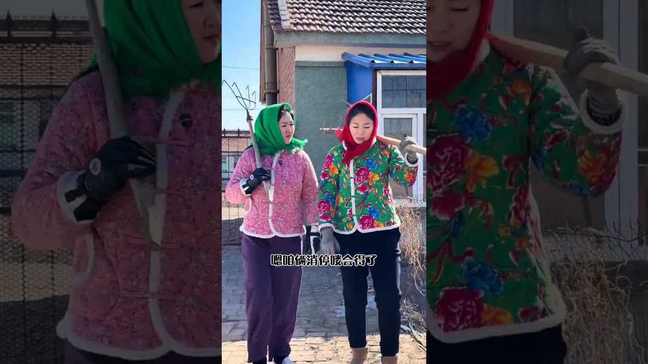 Да Цзяо попросила свою свекровь поработать в поле, но та отказалась и прямо сказала об этом. Ся