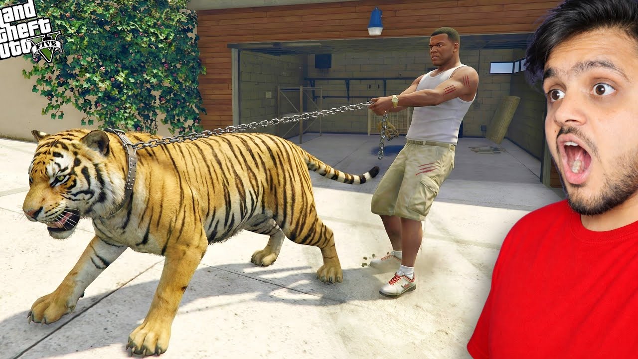 Franklin Finally Caught the Hungry Tiger With Shinchan & Hulk 😱 | GTA 5