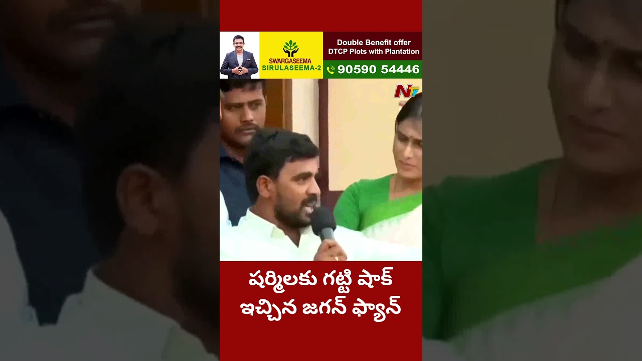 YS Jagan Fan Shocks YS Sharmila | Ntv