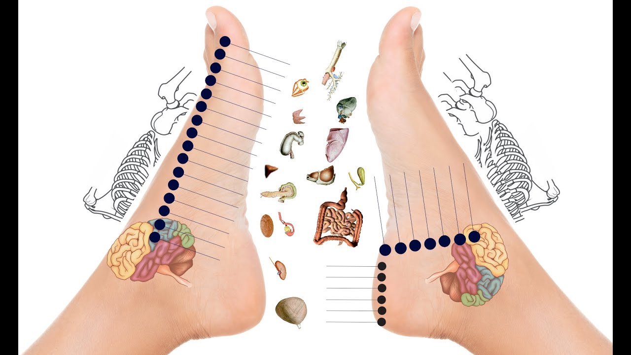 Neuro- Reflexology Online Lone Sorensen