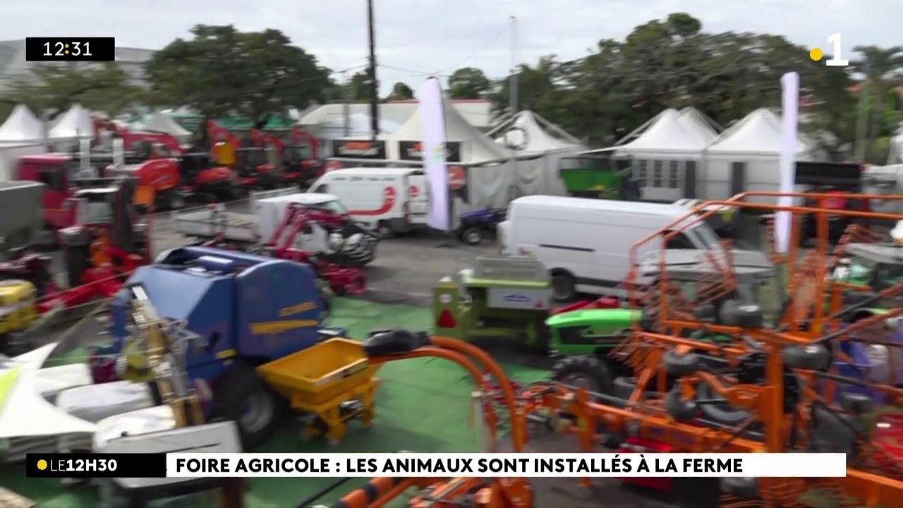 A Bras-Panon, c'est l'heure des derniers préparatifs avant le début de la Foire Agricole