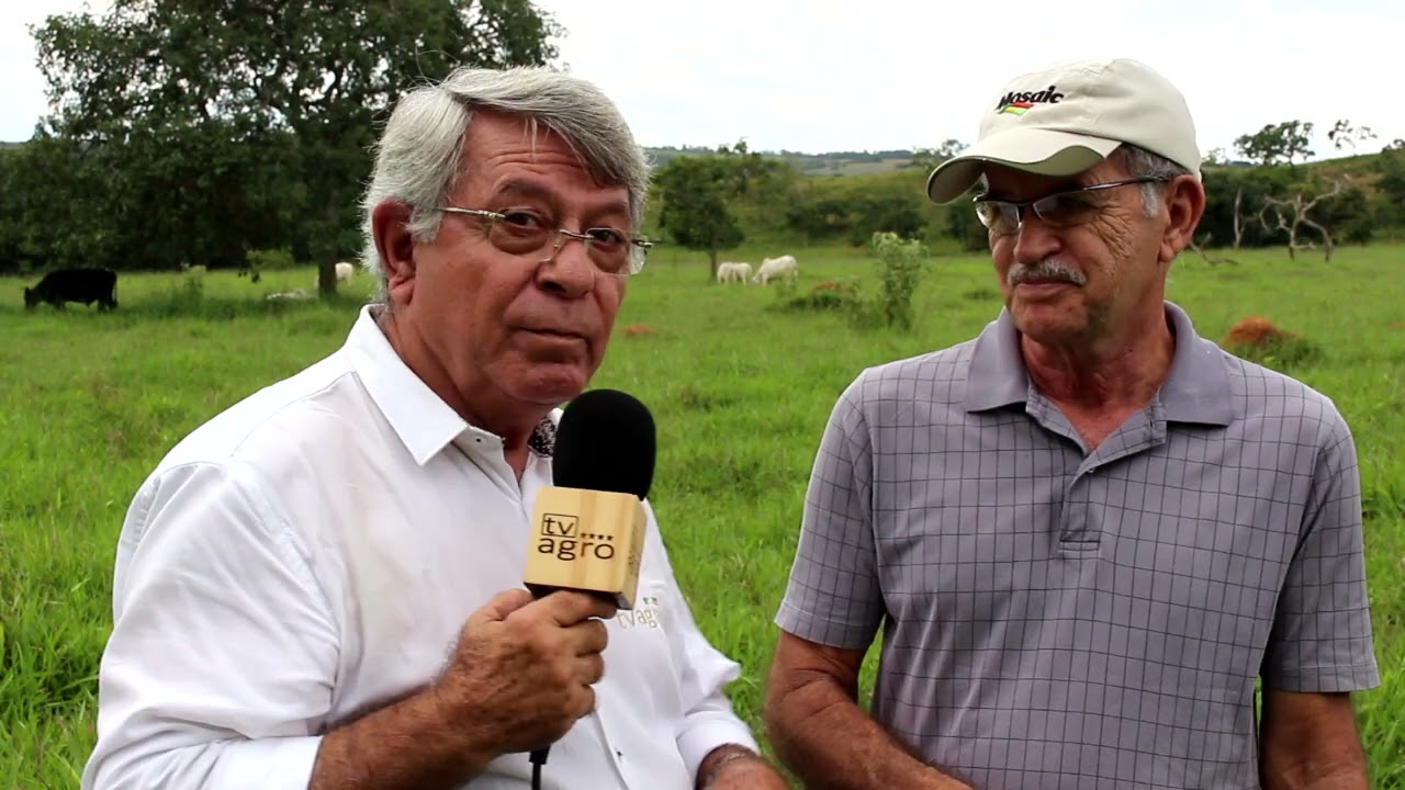 ABATE AOS 20 MESES COM 20@  - PECUÁRIA A PASTO