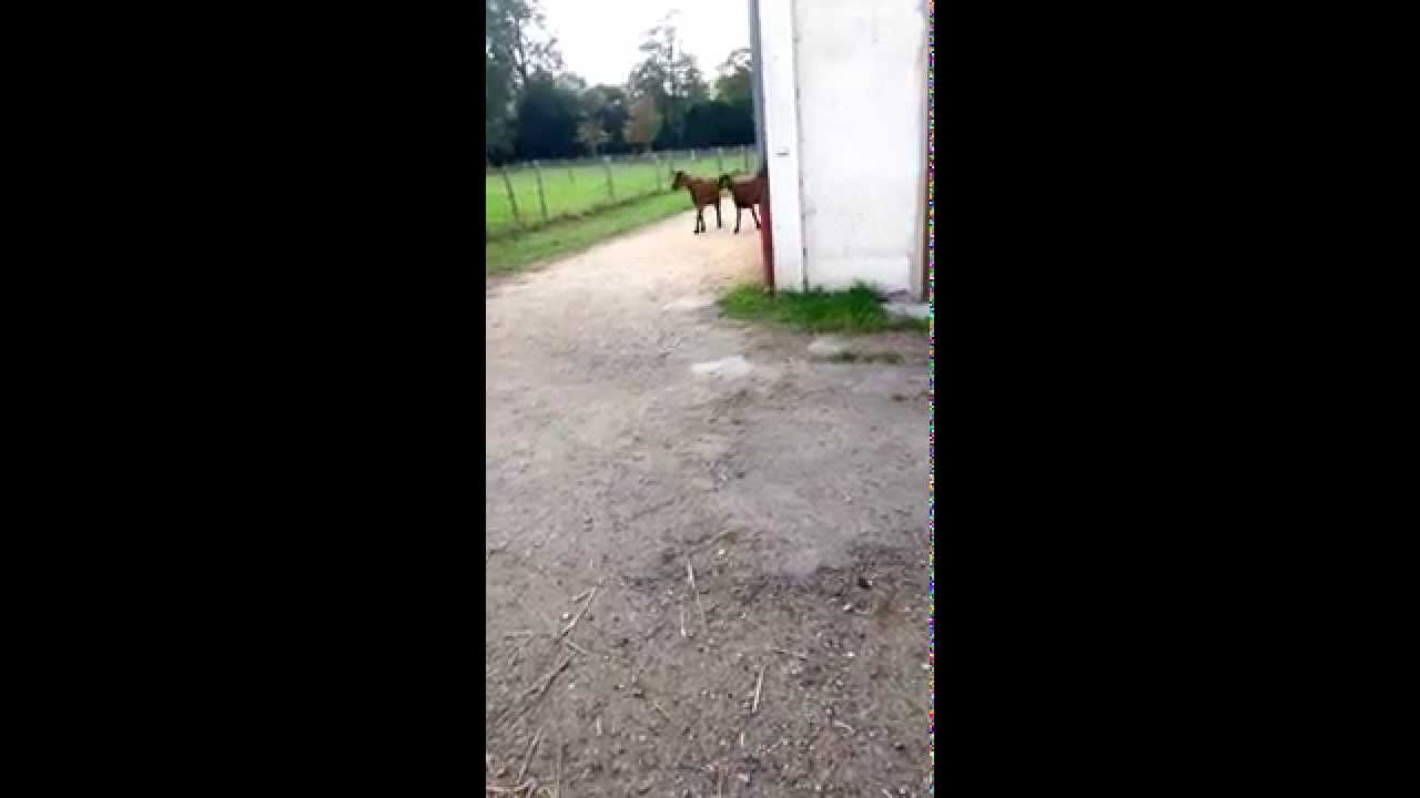 La ferme de paris