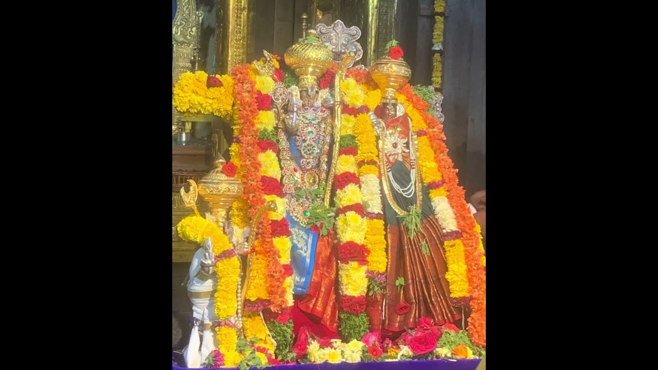 🌿 పునర్వసు నక్షత్రంలో శ్రీ సీతారాముల కళ్యాణం 🌿