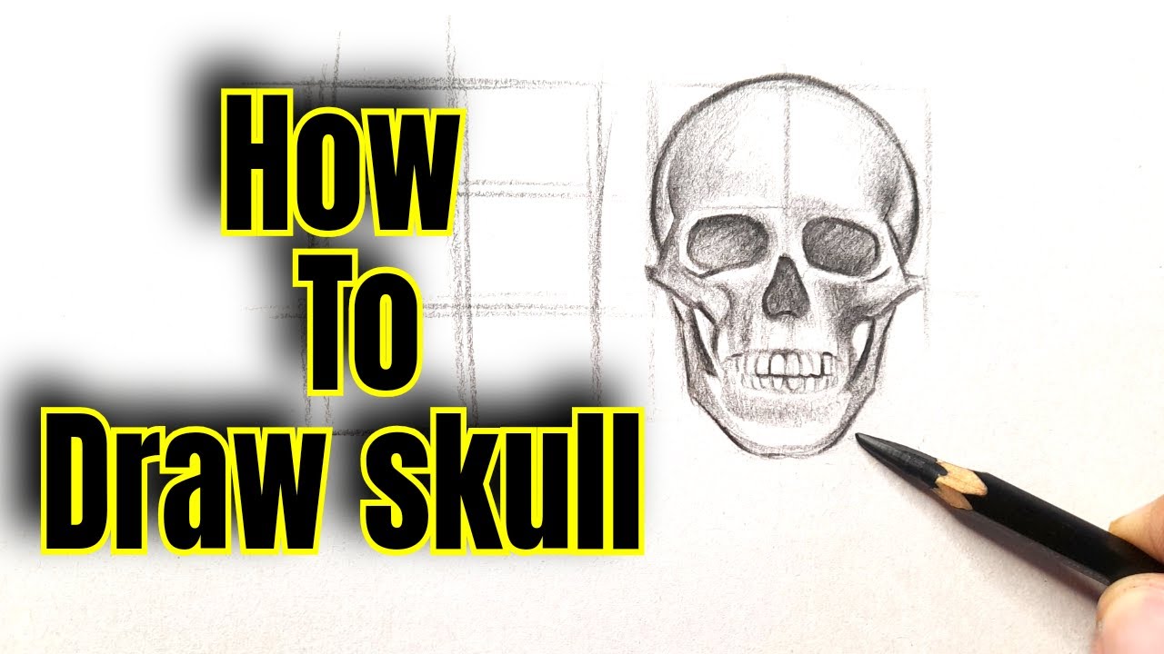 How to draw a Skull Front View Easy step by step | Drawing a Skull Sketch | Drawing Tutorial |Videos