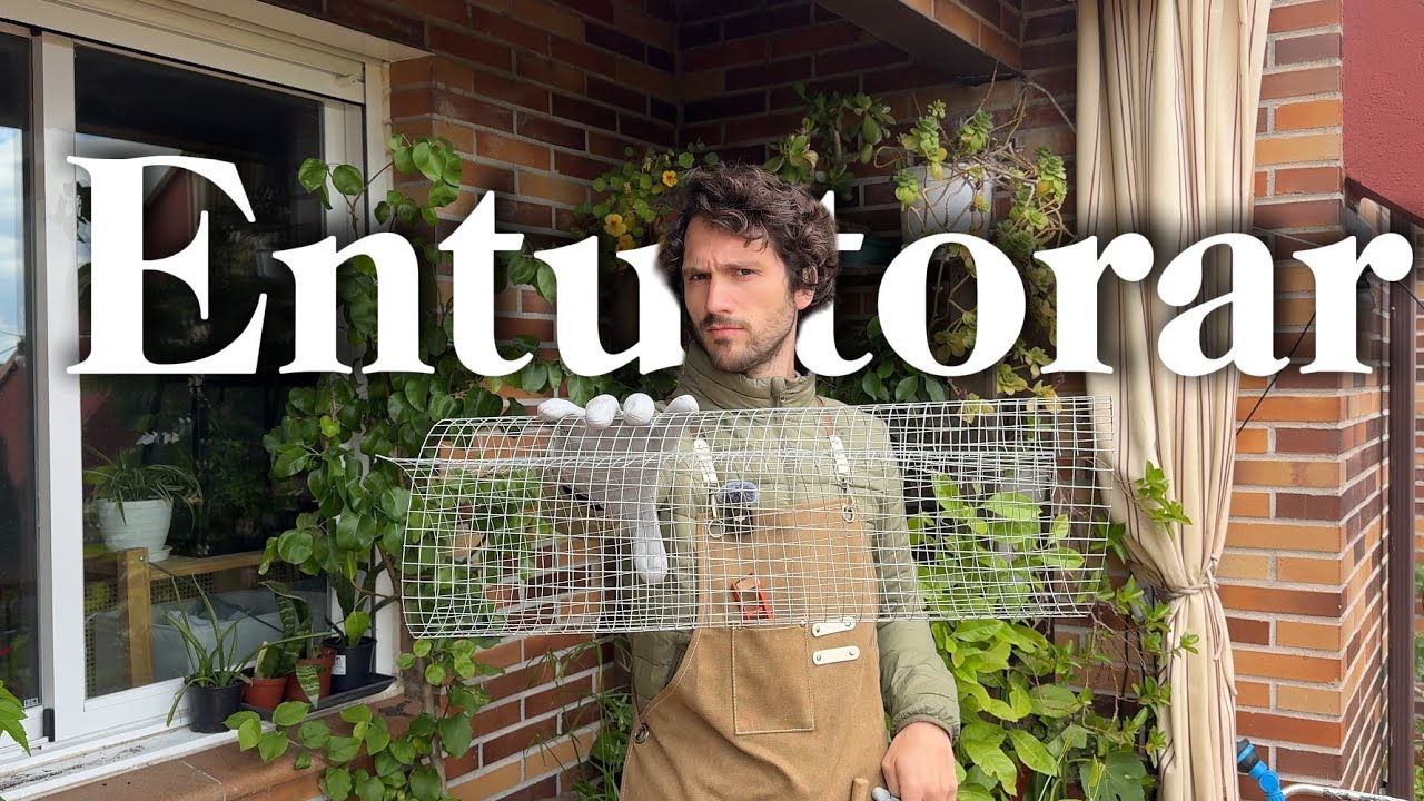 Plantas Trepadoras en Maceta | Hogar y jardín
