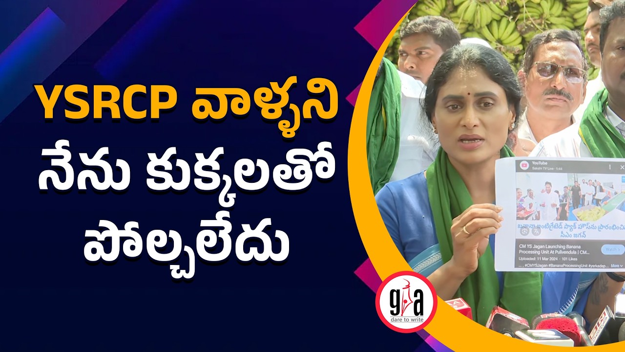YSRCP వాళ్ళని నేను కుక్కలతో పోల్చలేదు | YS Sharmila Shocking Comments on YSRCP | greatandhra.com