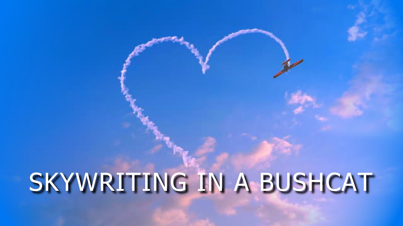 Skywriting in a BushCat