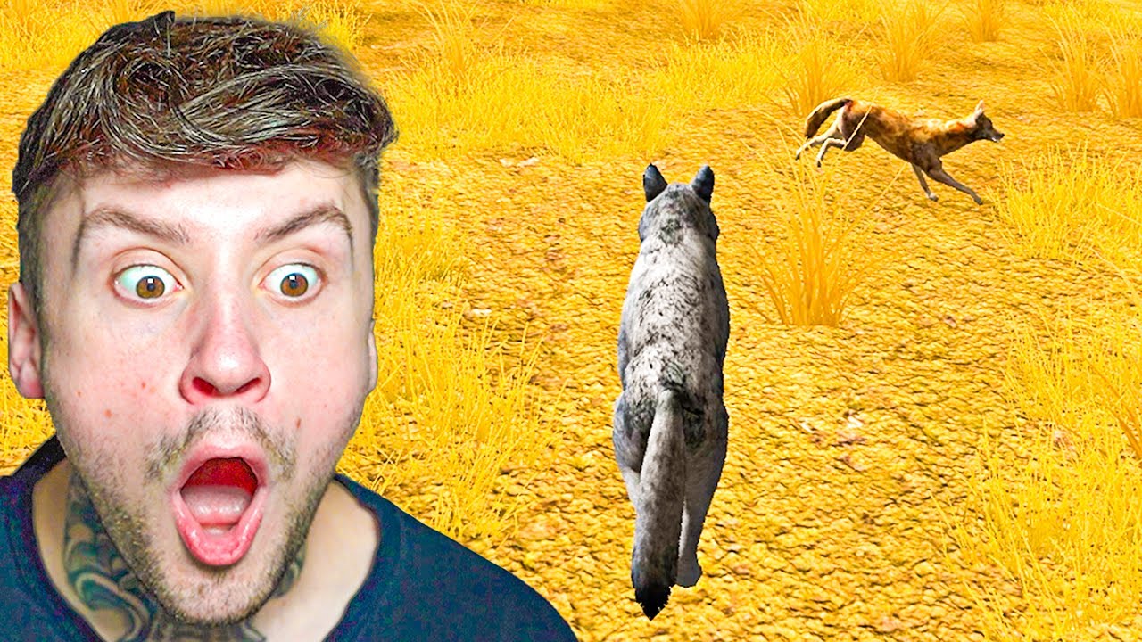 Der WOLF Simulator !!!