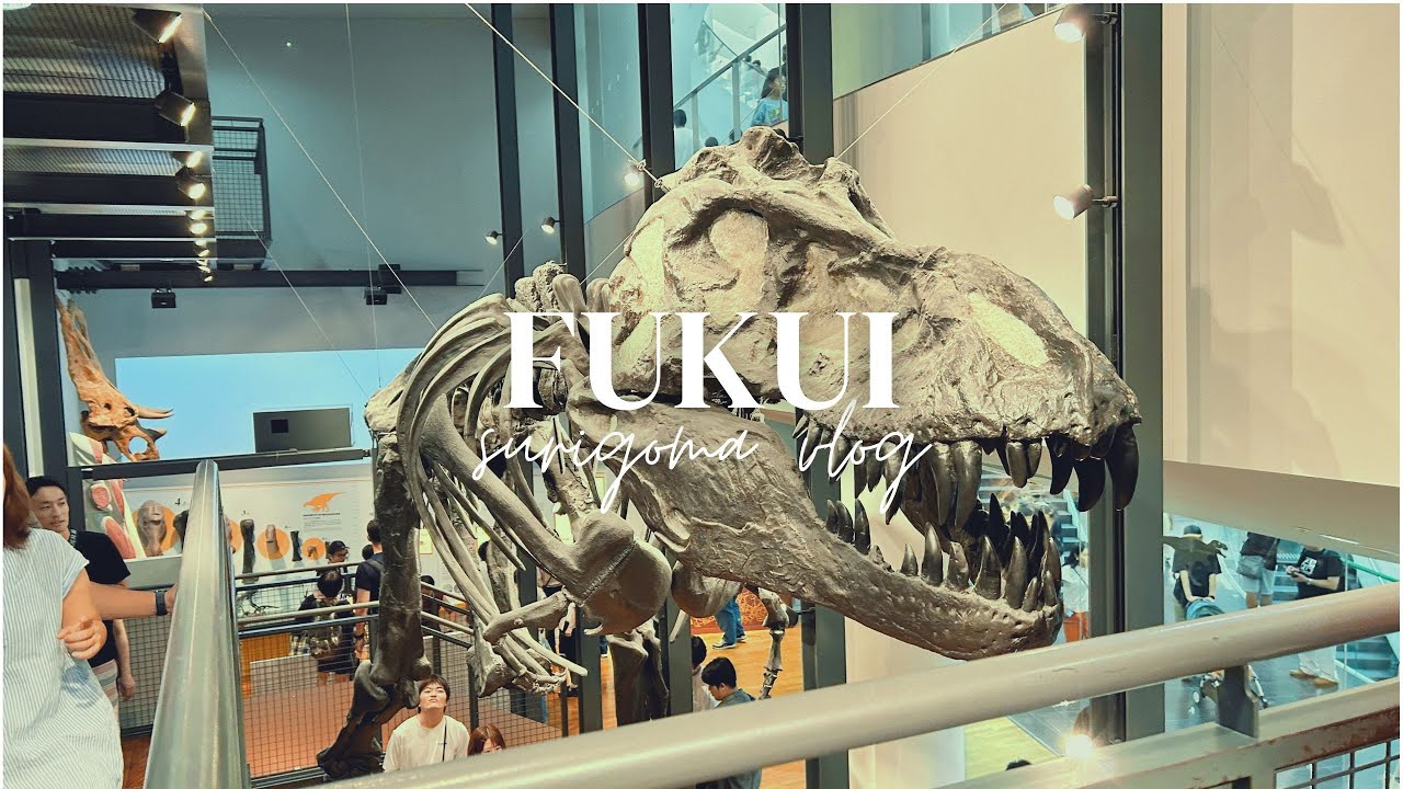 【vlog】カイリューと謎解くフクイタビ day2 中編