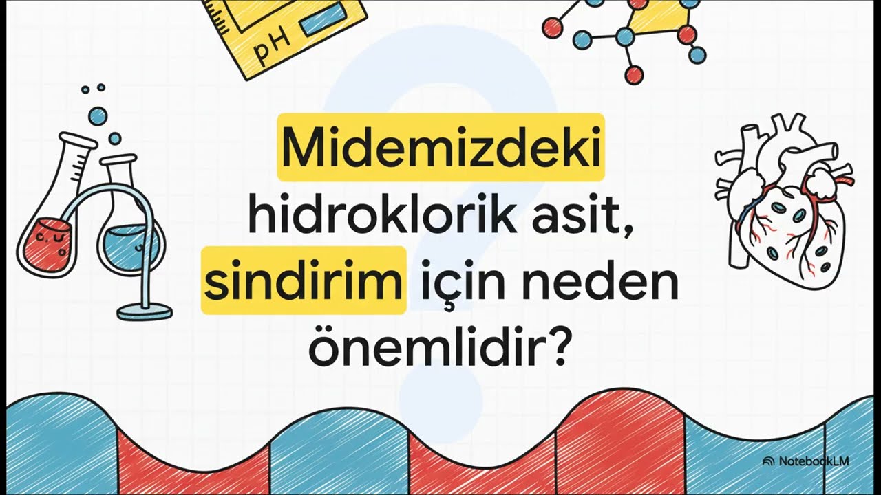 Asit ve Bazların Genel Özellikleri ve Tanımları   ---Kimya---Sinavio.co---