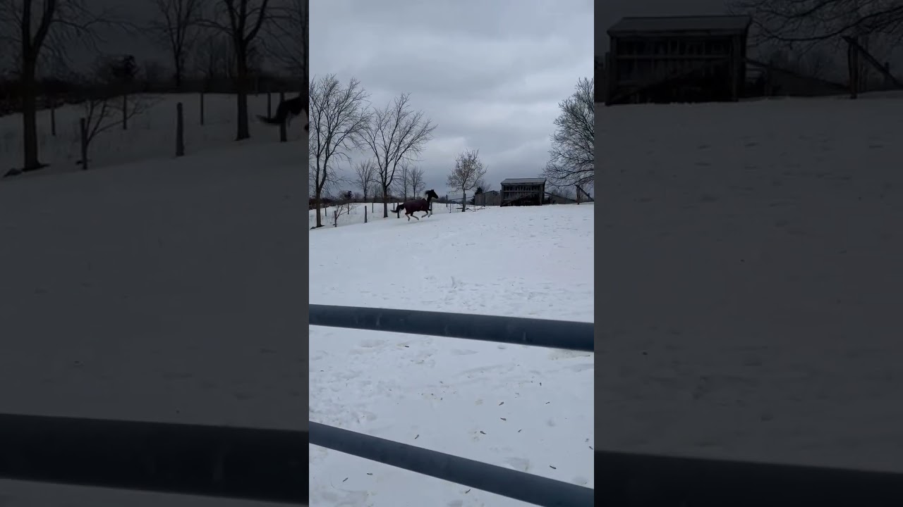 She Got Left Behind! 