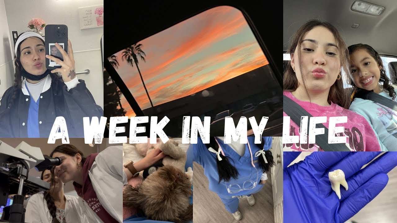 Una semana conmigo