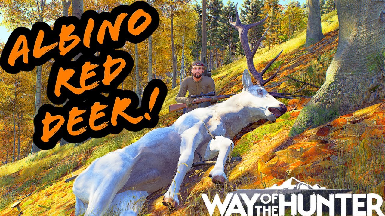 Our first Transylvania rare fur! | Way of the Hunter