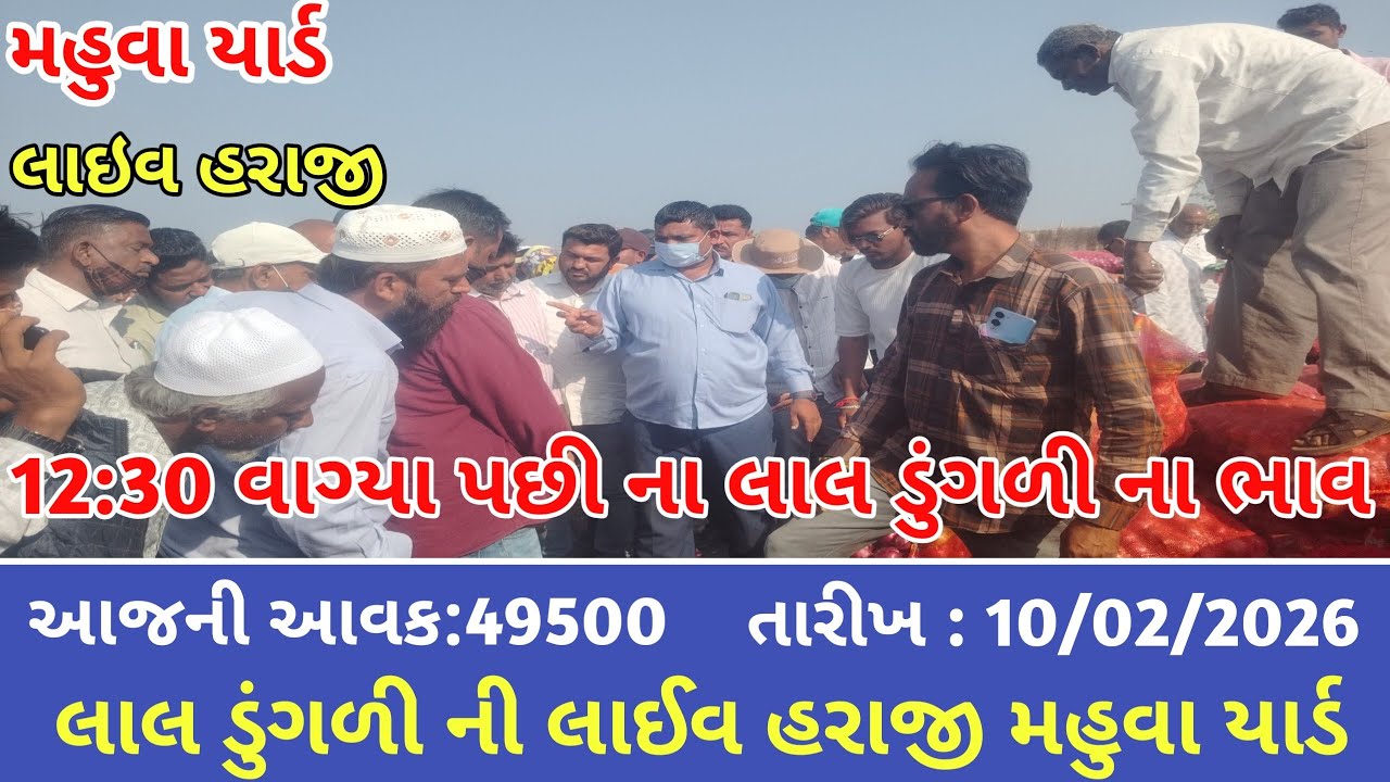 મંગળવારની 12:30 વાગ્યા પછીના લાલ ડુંગળી ની લાઈવ હરાજી |APMC MAHUVA |10/02/2026 |red onion market |