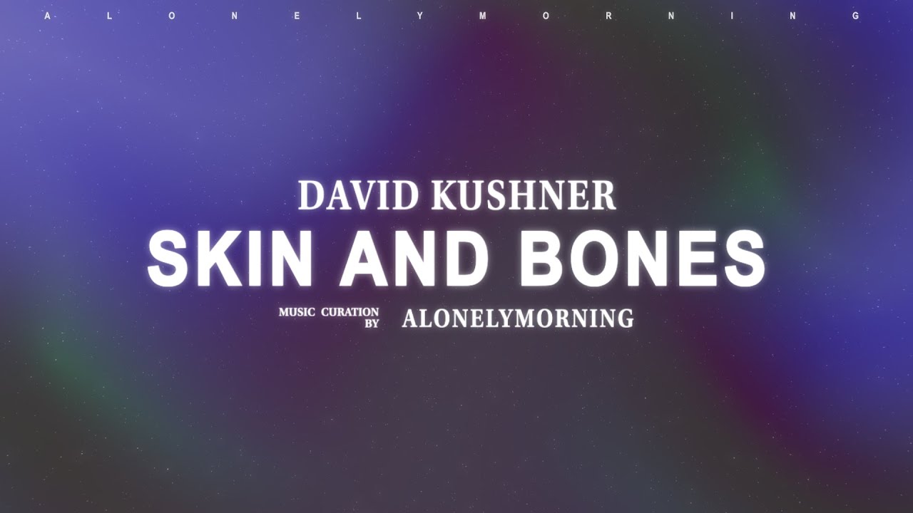 David Kushner - Skin and Bones (Lyrics)