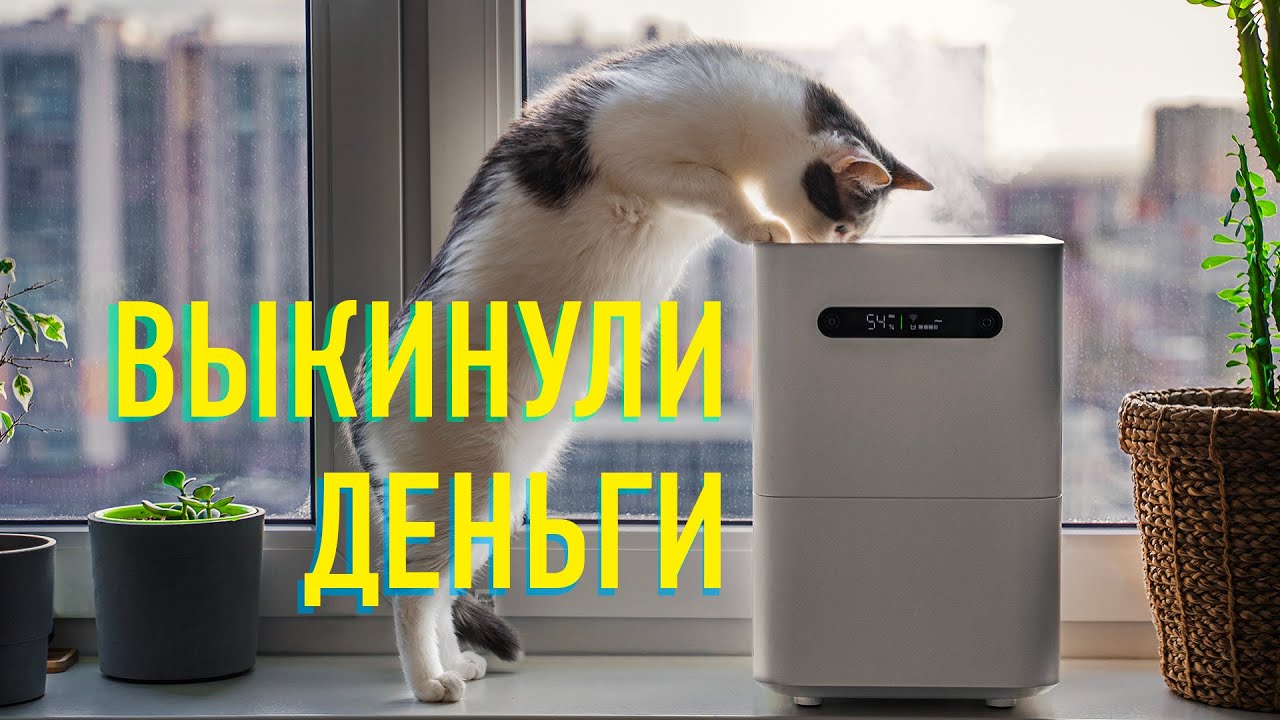 ПОМЫЛ ВОЗДУХ 🌫️ Увлажнитель Xiaomi Humidifier 2