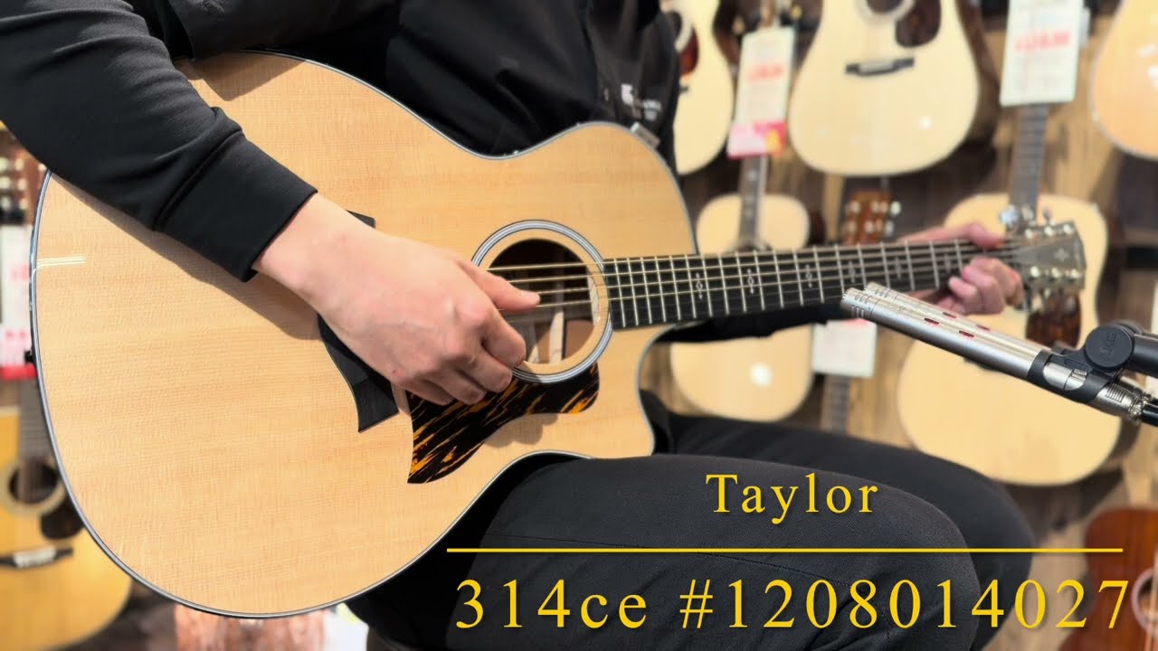 〔新品〕Taylor 314ce #1210285070【立体的に響く良個体】【新仕様】
