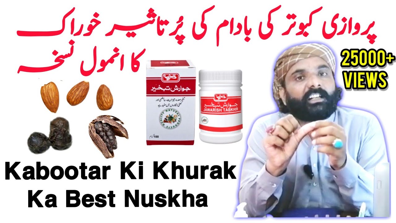 Parwazi Kabootar Ko Badam Ki Khurak Dene Ka Mukammal Tareeka | Kabootar Ki Khurak