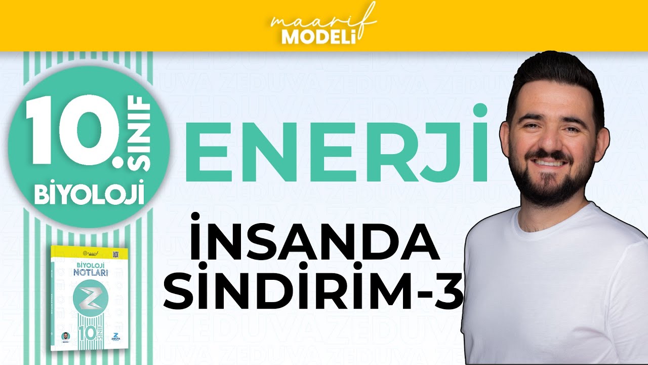 İnsanda Sindirim-3 | Enerji 1.Ünite | 10.sınıf biyoloji maarif model | ZEDUVA