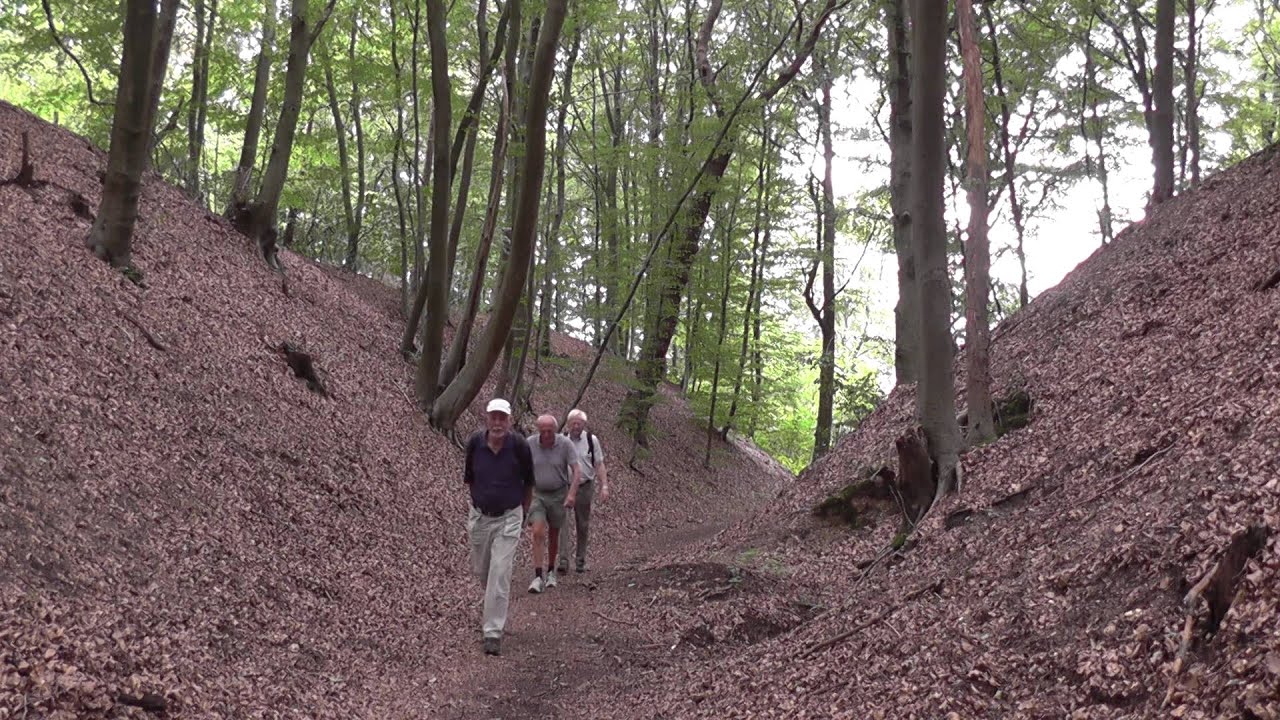 Geopfad DE-03: Donsbrüggen-Adolfsschlucht