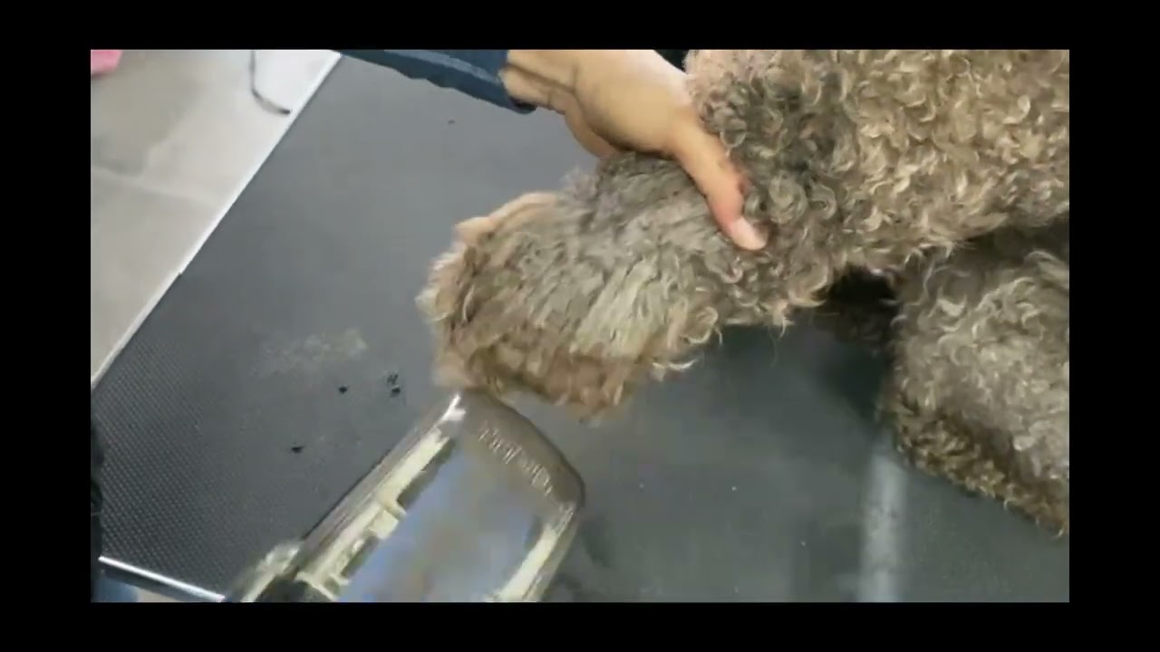 Automatic Slicker Brush for Pets