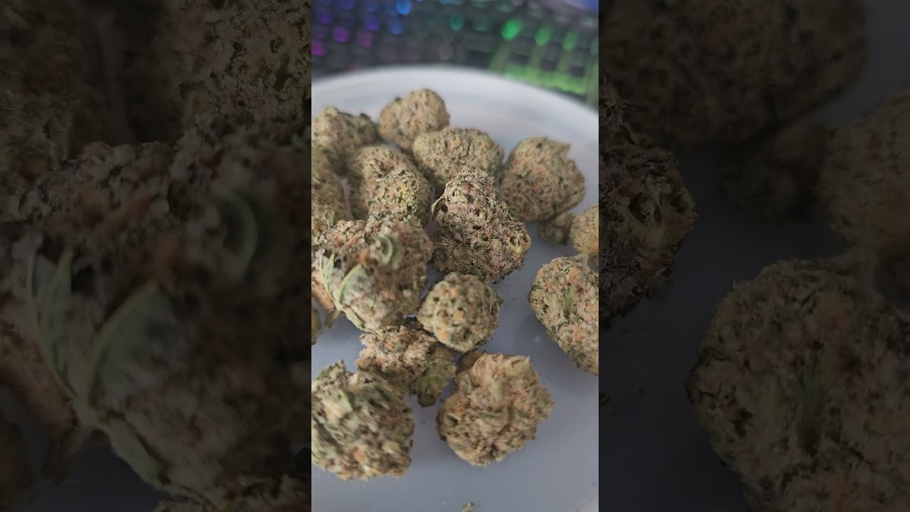Purple Punch By Sundaze Review
