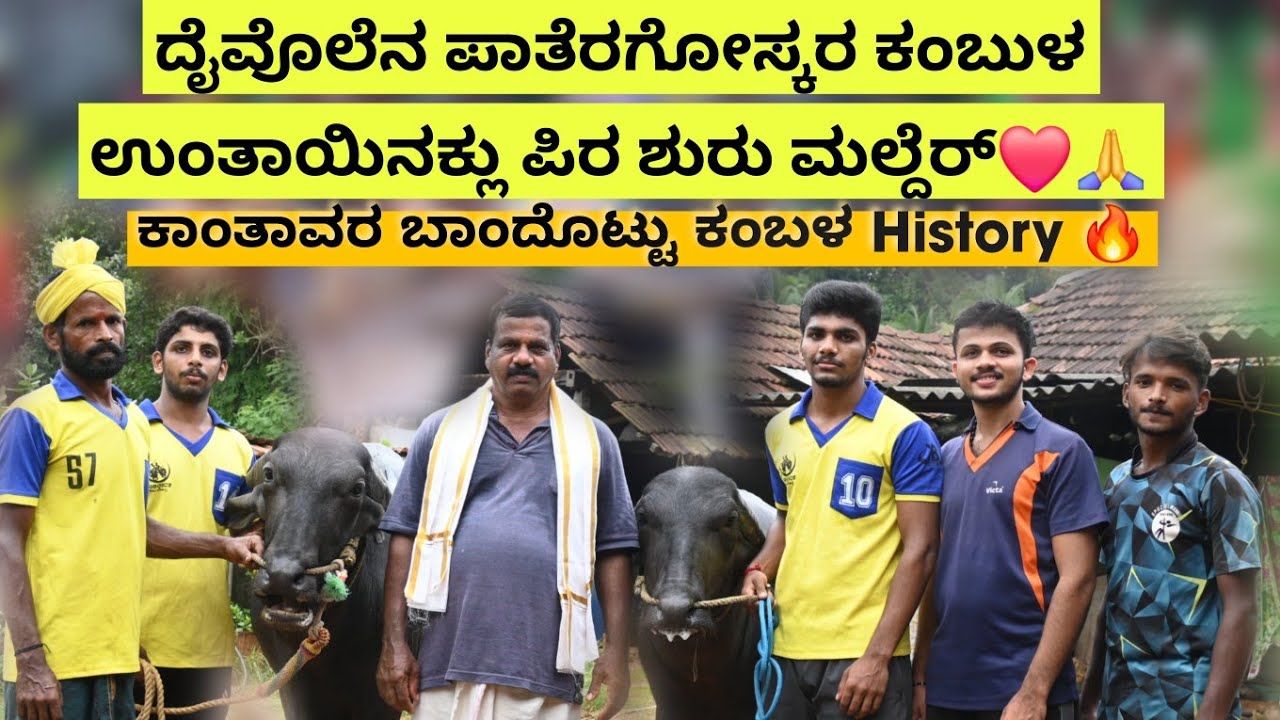 ಕಂಬುಳ ಬೋಡ್ಚಿ ಪಂಡ್ತ್ ಉಂತಾಯ! ದೈವೊಲ್ ಕಂಬುಳ ಬೋಡು ಪಂಡೆರ್🙏❤ Kanthavara Bandottu Kambala History